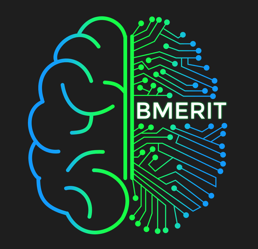 BMERIT Website & Newsletter