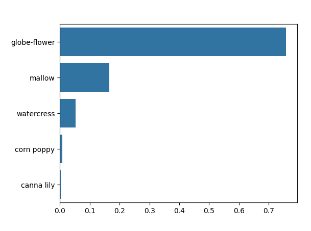 Flower Image Classifier